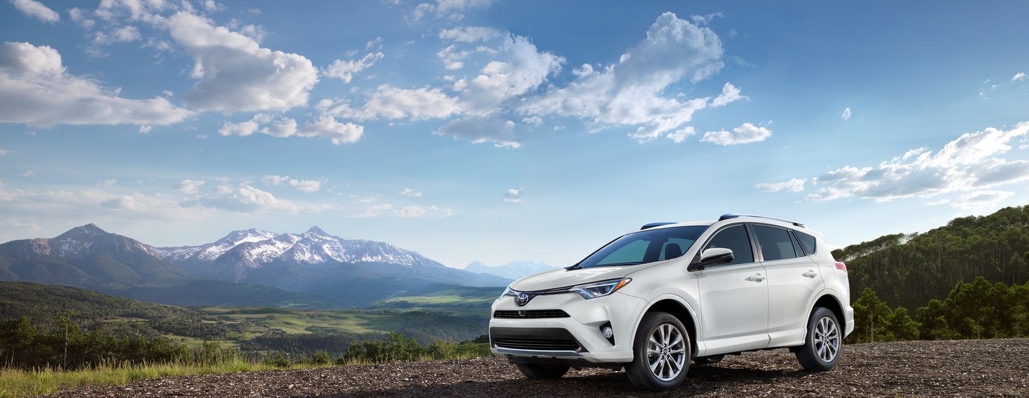 RAV4.jpg