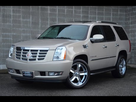 escaladeawd.jpg