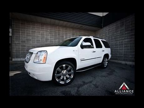 hybriddenali.jpg