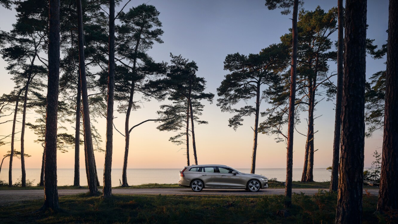 Volvo V60 2019 sunset.PNG