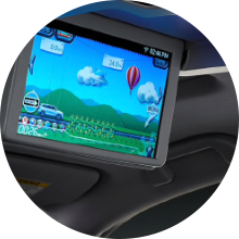 Rear Entertainment System