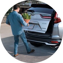Hands-Free Access Power Tailgate