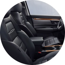 Leather-Trimmed Interior
