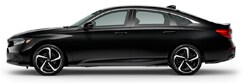 Sport Special Edition