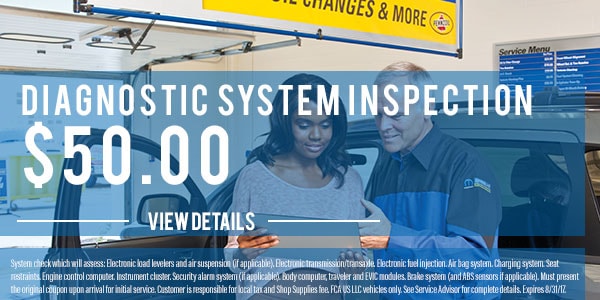 Diagnostic-System-Inspection.jpg