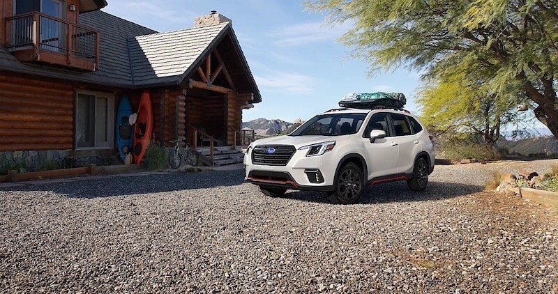 subaru forester, 2023 subaru forester, subaru forester wilderness, 2022 subaru forester, subaru forester 2023, 2020 subaru forester, 2024 subaru forester, subaru forester for sale, 2015 subaru forester, used subaru forester, 2018 subaru forester, 2021 subaru forester, subaru forester sport, 2010 subaru forester, 2014 subaru forester, 2019 subaru forester, 2017 subaru forester, 2016 subaru forester, subaru forester 2022, 2009 subaru forester, 2011 subaru forester, forester subaru, 2012 subaru forester, subaru forester 2015, 2013 subaru forester, 2008 subaru forester, subaru forester sti, 2004 subaru forester, 2005 subaru forester, 2006 subaru forester