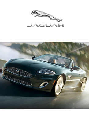 Jaguar Orlando