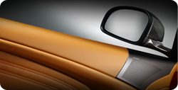 Aston Martin DBS door
