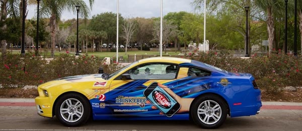 no-text-mustang.jpg