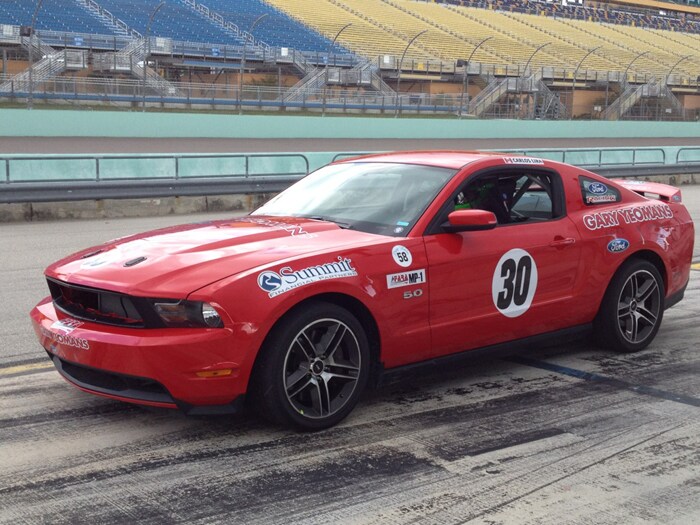 mustang2.jpg