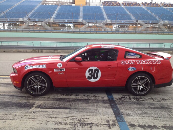mustang.jpg