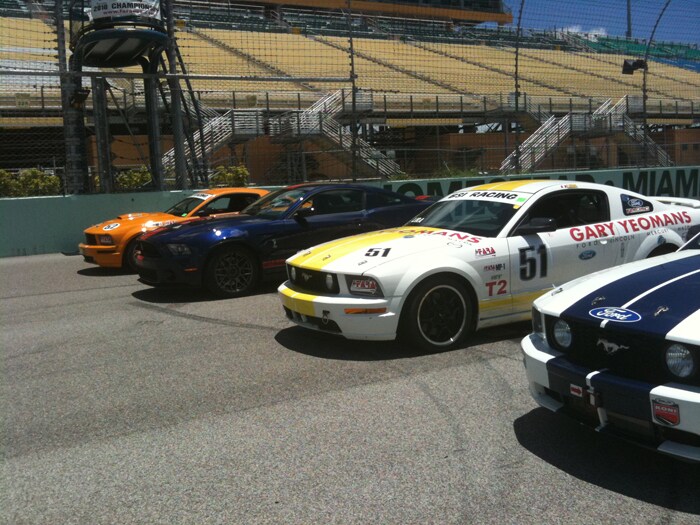 mustangs.jpg