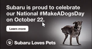 Adopt an Underdog.jpg Anchor Subaru Make a Dogs Day by Adopting an Underdog clikc here