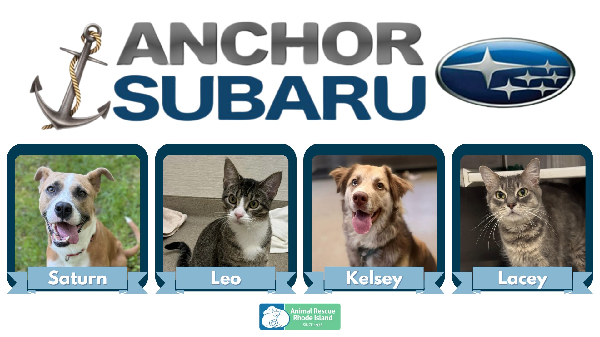 Anchor%20Subaru%20_%20ARRI%20_%20Pets.png