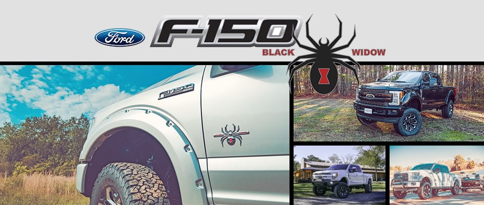 Widow Header_F.jpg
