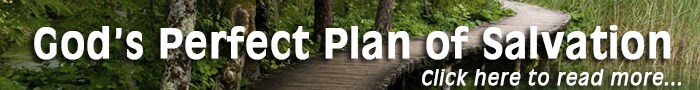 gods-perfect-plan-700-cropped.jpg