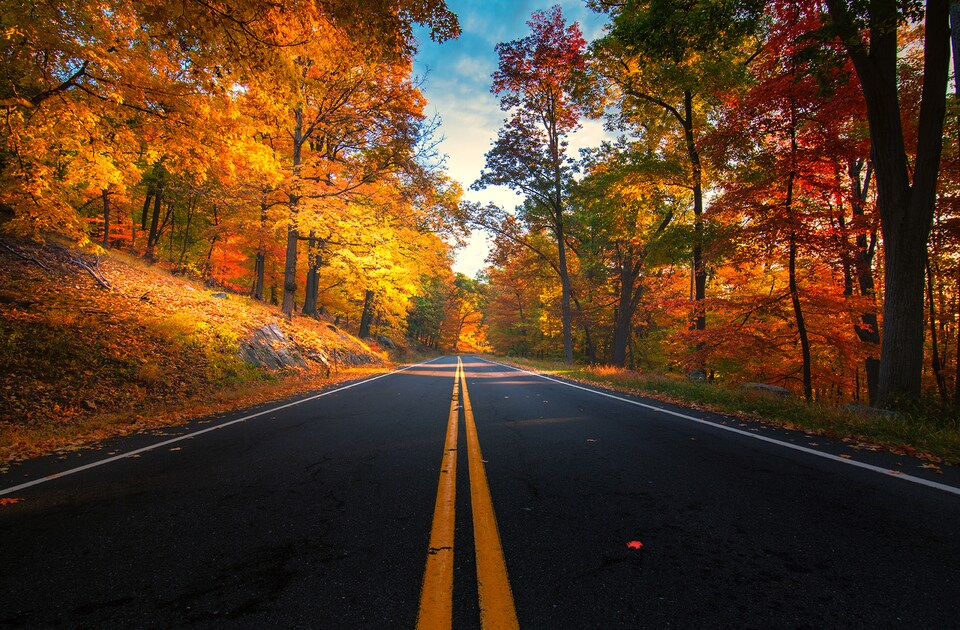 shutterstock_693294148 (1).png