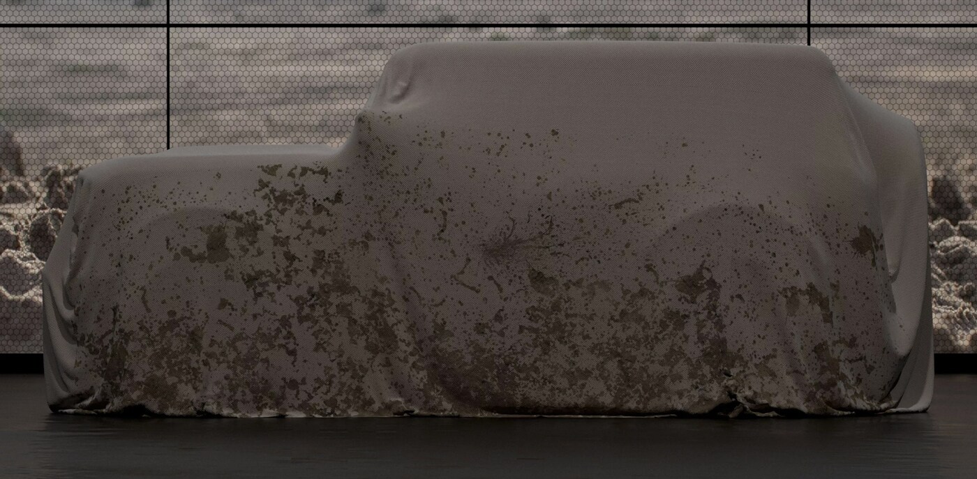 Bronco Hide.jpg