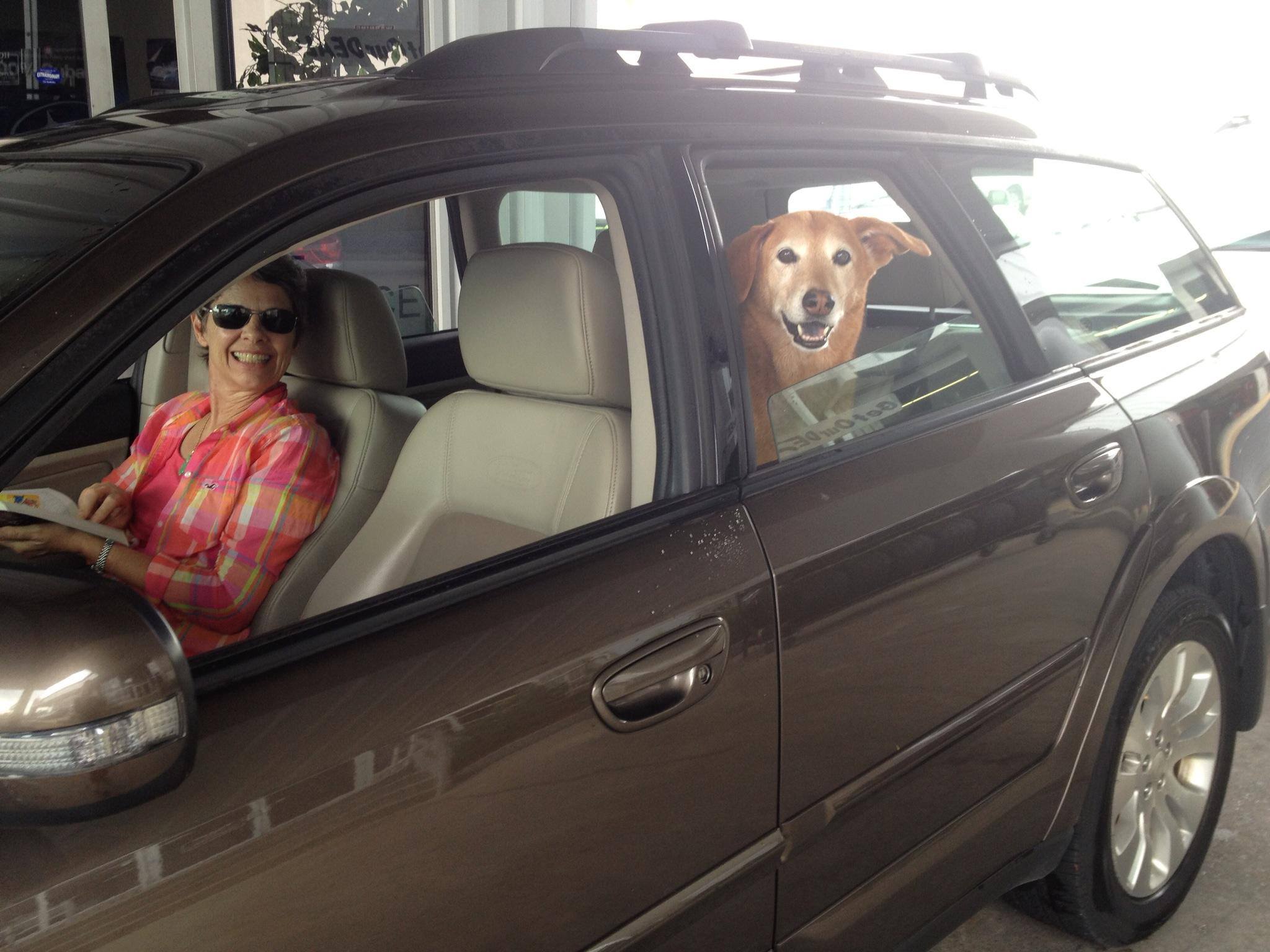 Dog friendly service Anderson Subaru.jpg