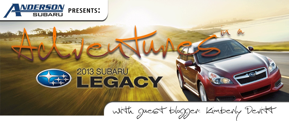 the-adventure-begins_02_01.png