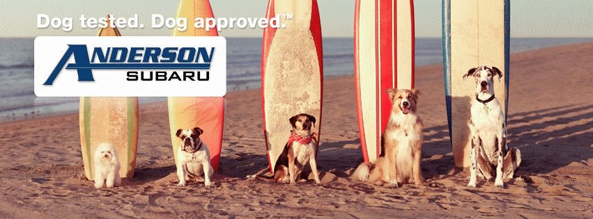Dog Approved Anderson Subaru.jpg