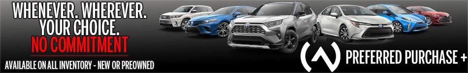 PPP-Inventory-Site-Banner.jpg