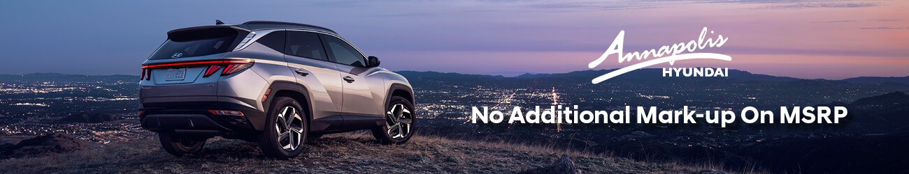 AnnapHyundai-NoMarkUp-1300x250.jpg