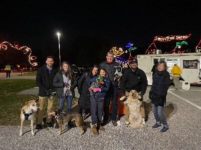 Lights _ Leashes-403x302.jpg