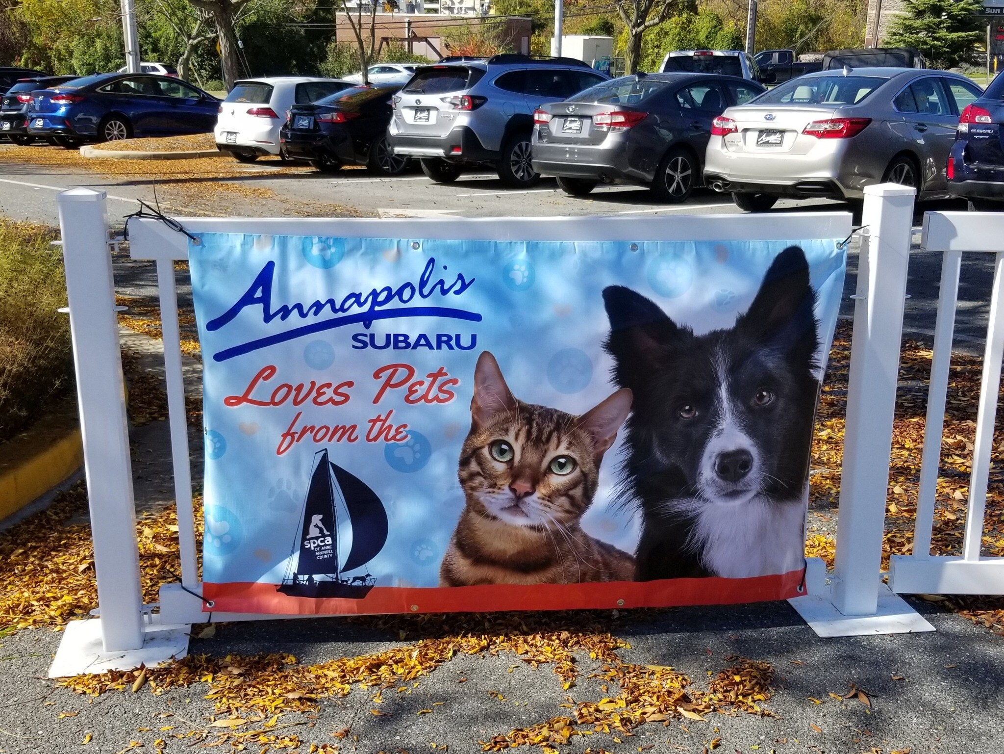 22 AS-LP-Adoption 7.jpg