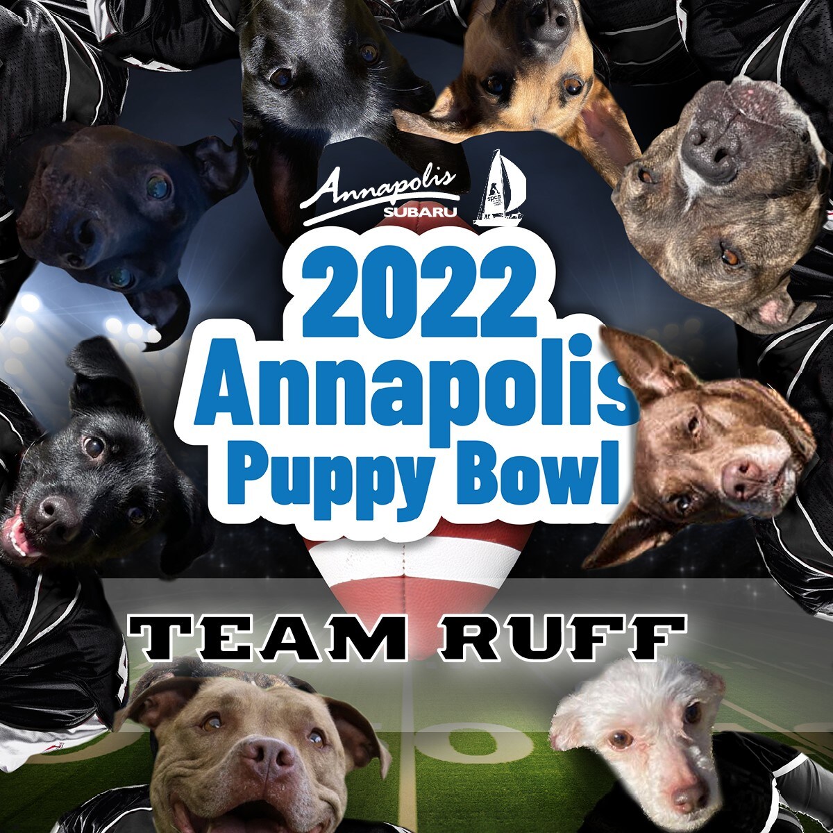 Puppy Bowl.jpg