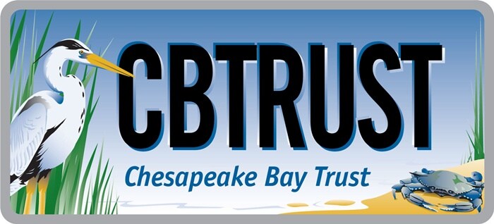 CBTRUST (2).jpg
