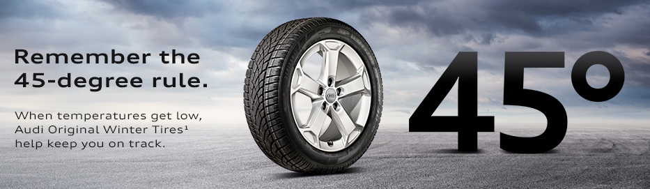 10042_AUDI_WWT_Header_Image.jpg