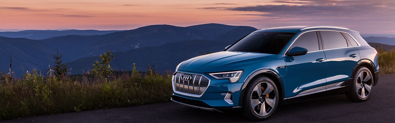 Etron blank 2.jpg