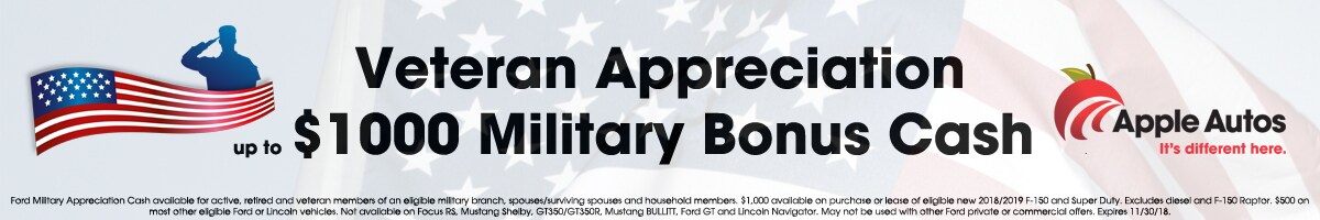 Veteran.jpg