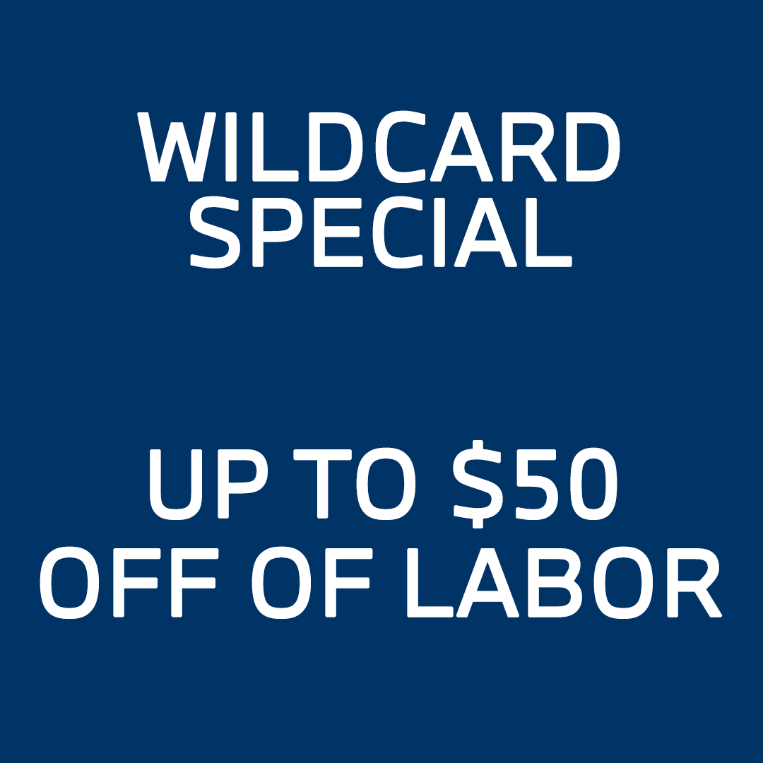 WILDCARD SPECIAL.png