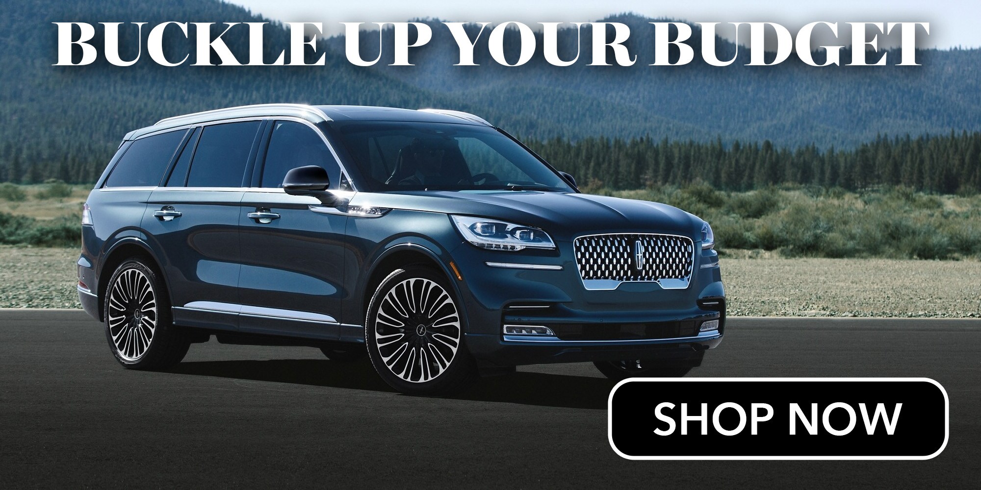Budget for Buying a Vehicle Budget for Buying a Vehicle