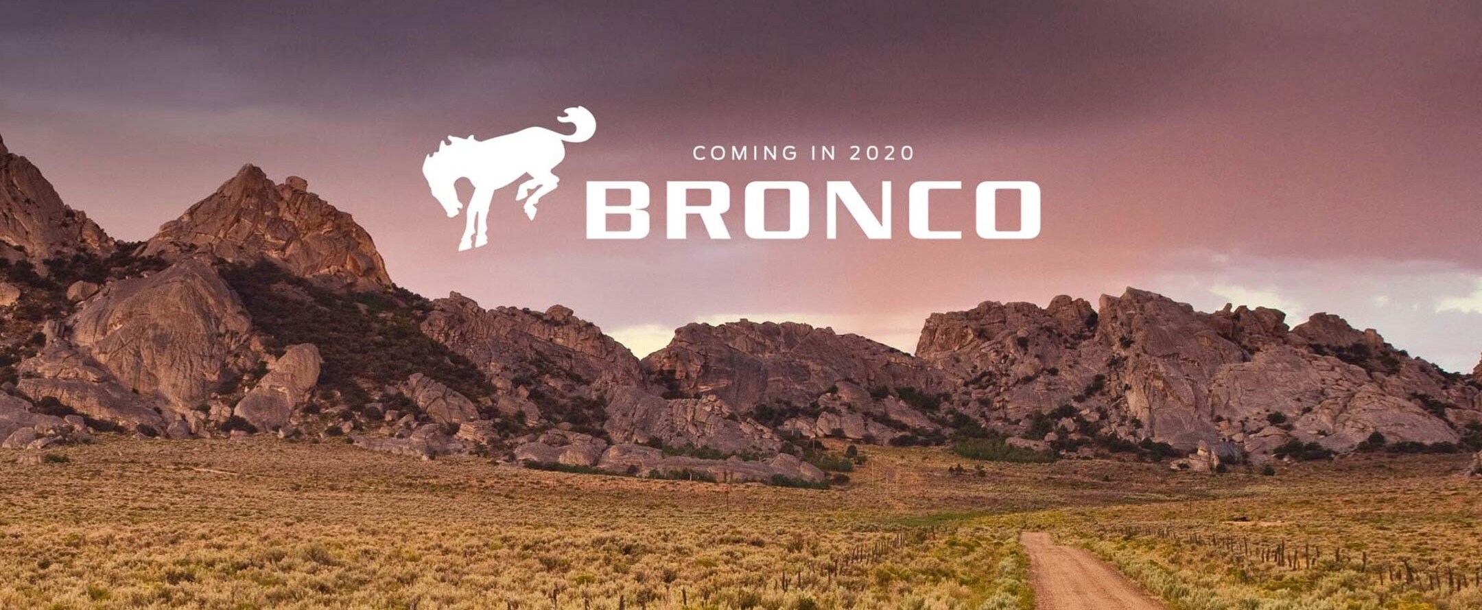 BroncoHeader.jpg