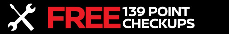 Free 139 Point Check ups