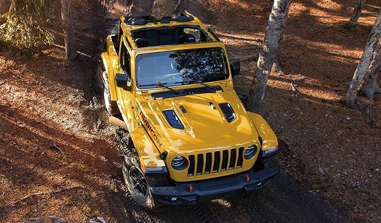 New 2019 Jeep Wrangler Tamarac FL