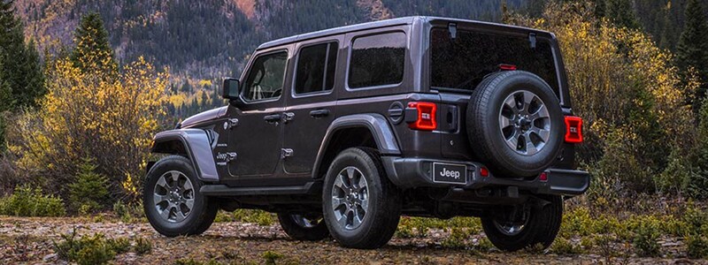 New 2019 Wrangler Florida