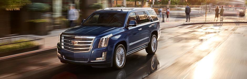 2019 Escalade