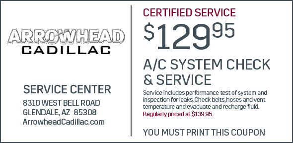 AC_Svc Coupon_Print6.jpg
