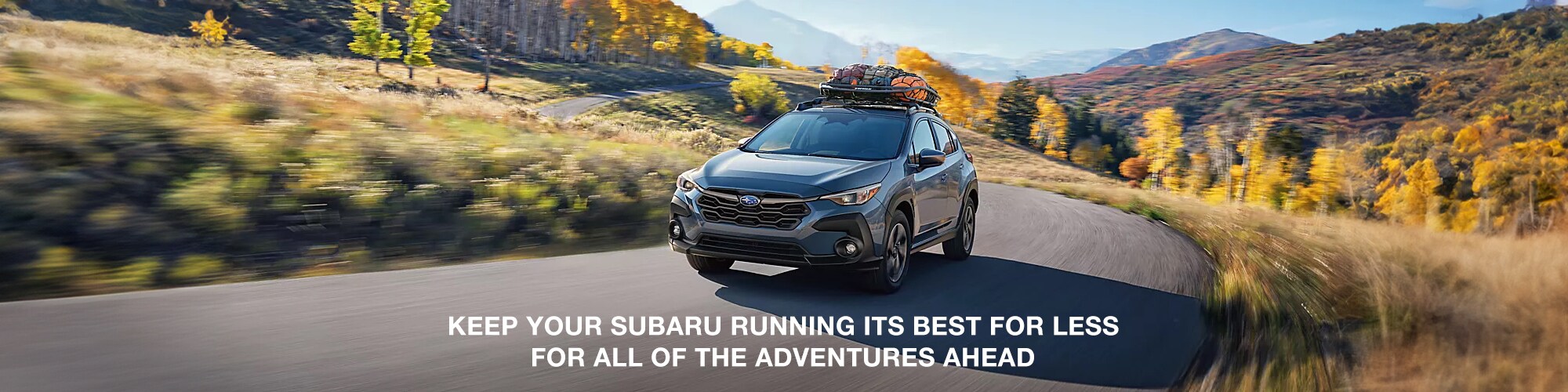 SUBARU IMAGE (1).jpg
