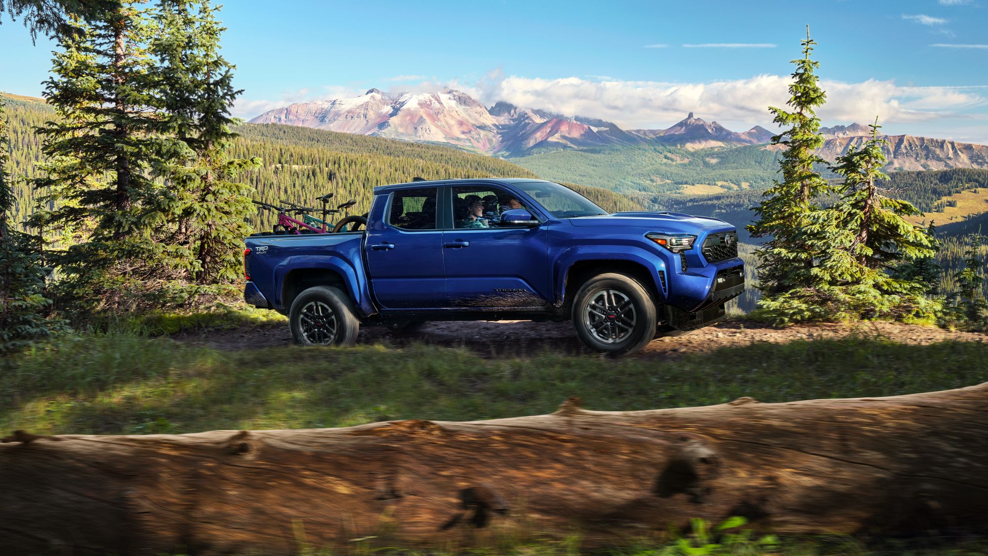 Test Drive a 2024 Toyota Tacoma near Navasota, Texas