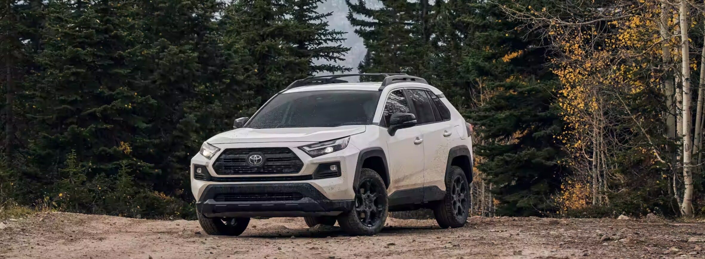 2023 RAV4 In Nature College Station.png