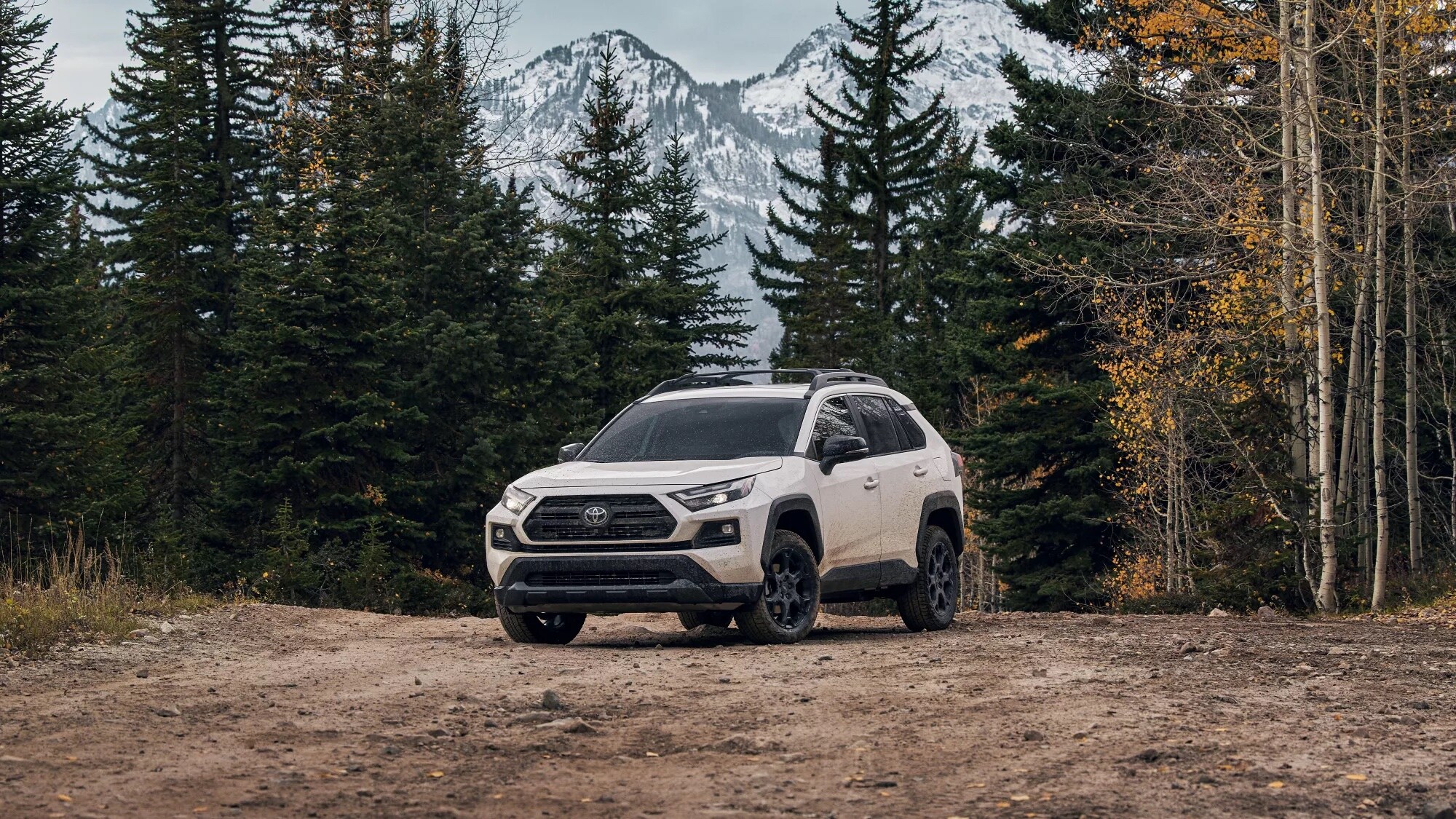 New 2022 Toyota RAV4 Near Me Dallas