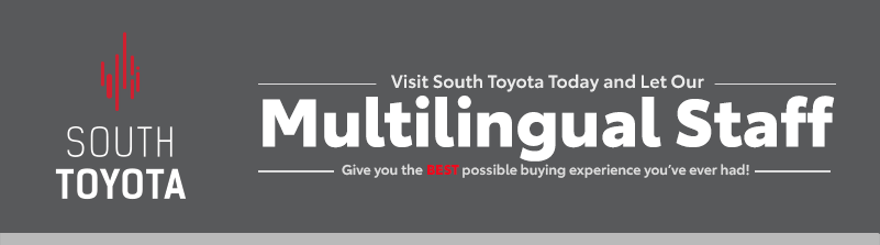 SOTO 6634-19 WB - Worldwide - Multilingual(Grey).png