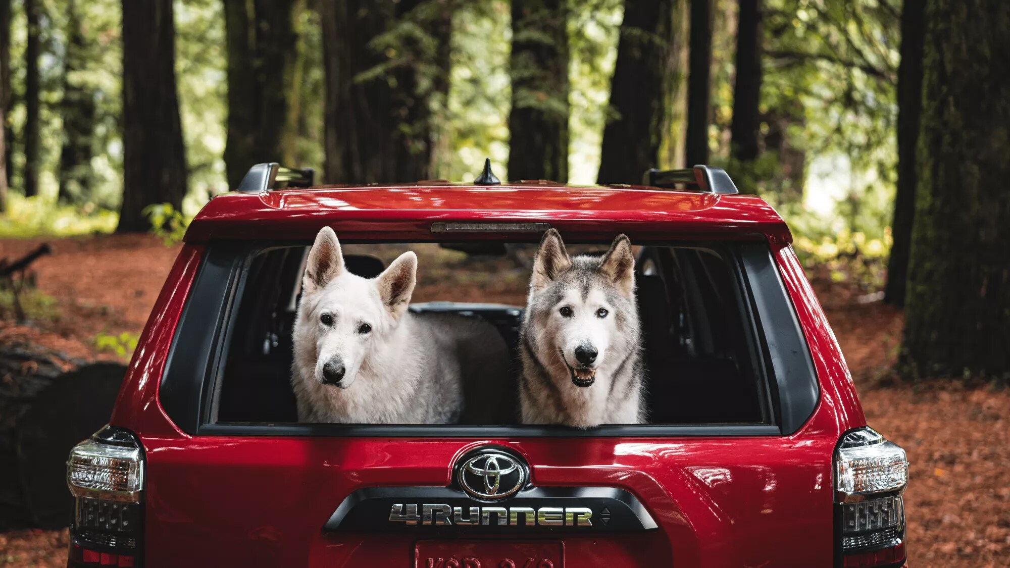 New 2022 Toyota 4Runner Near Me - Serving Waxahachie