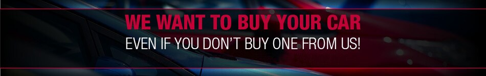 We Want To Buy Your Car Even If You Don't Buy One From Us!