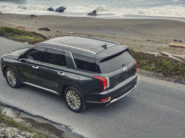 Hyundai Palisade Top View.jpg